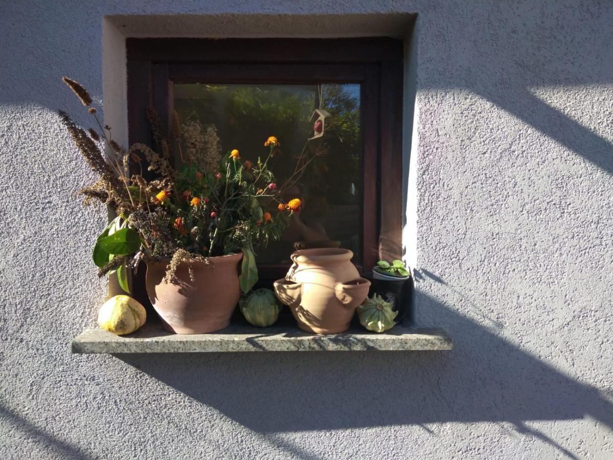 Ferienhaus Badetz Kültér fotó